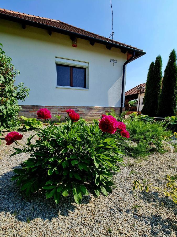 Apartment Meszkoe Vendeghaz - Meszes